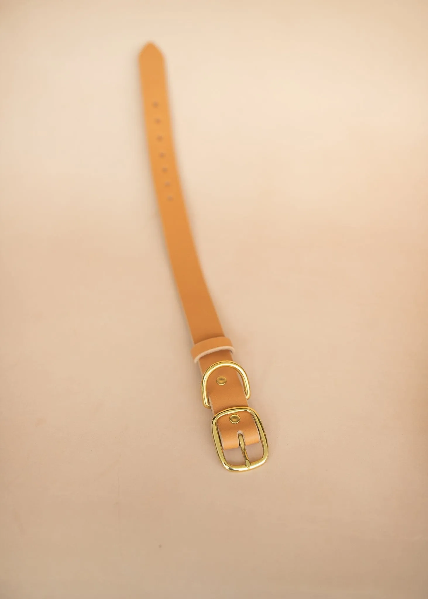 Classic Dog Collar - 32mm - Natural