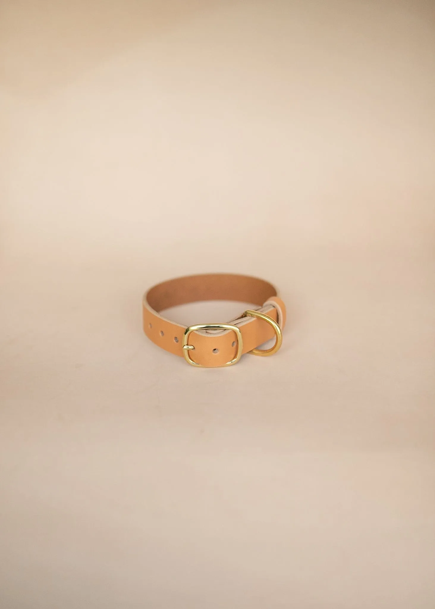 Classic Dog Collar - 32mm - Natural