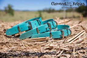 Dog Collar PVC 32mm x 55cm - Ocean Shimmer