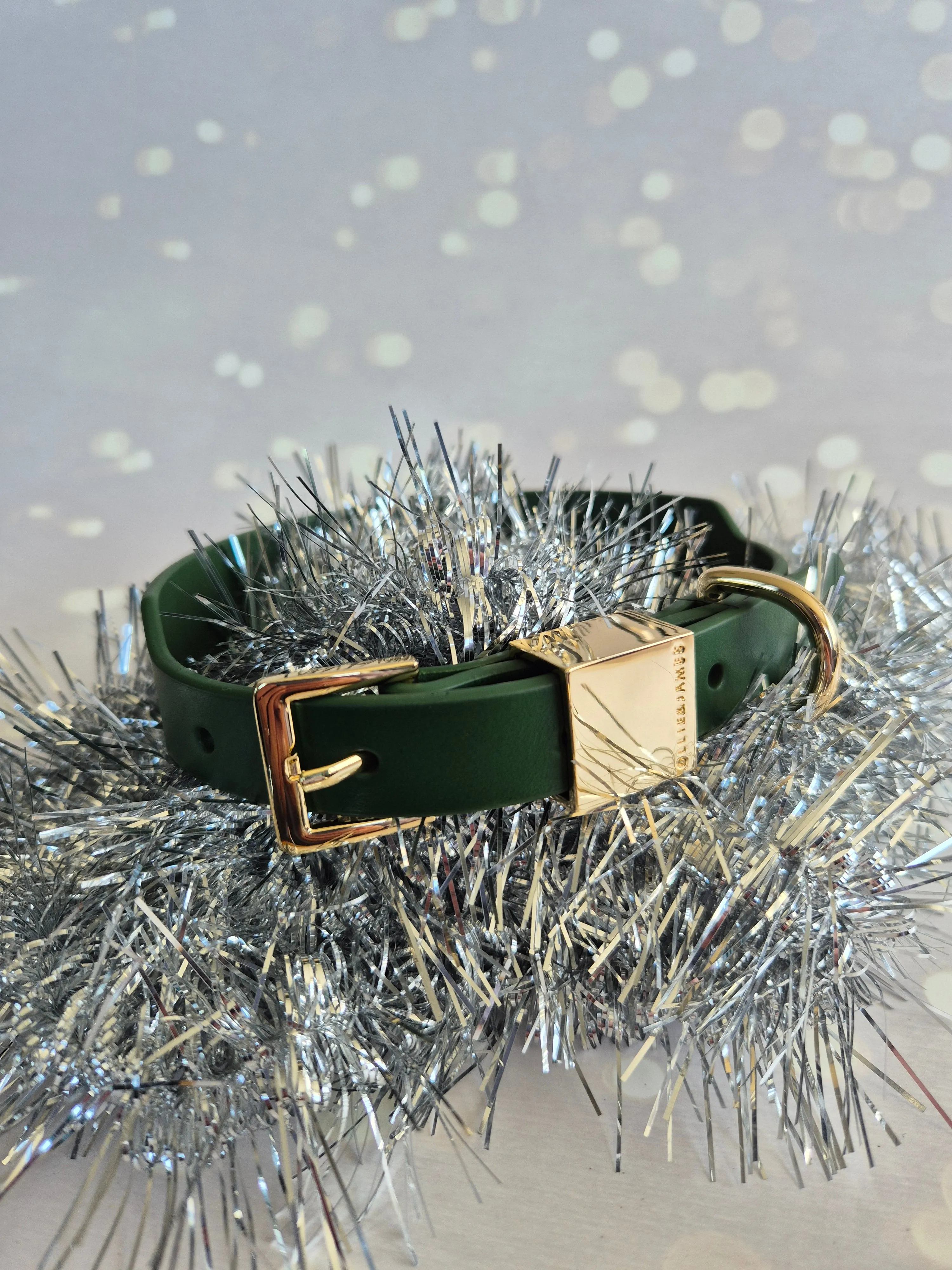 Italian Leather Dog Collar Seconds – Forest