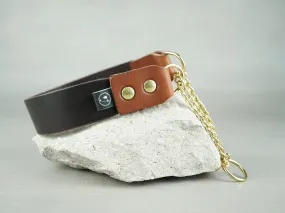 Leather Martingale Dog Collar in 5 Colors and Solid Brass Hardware