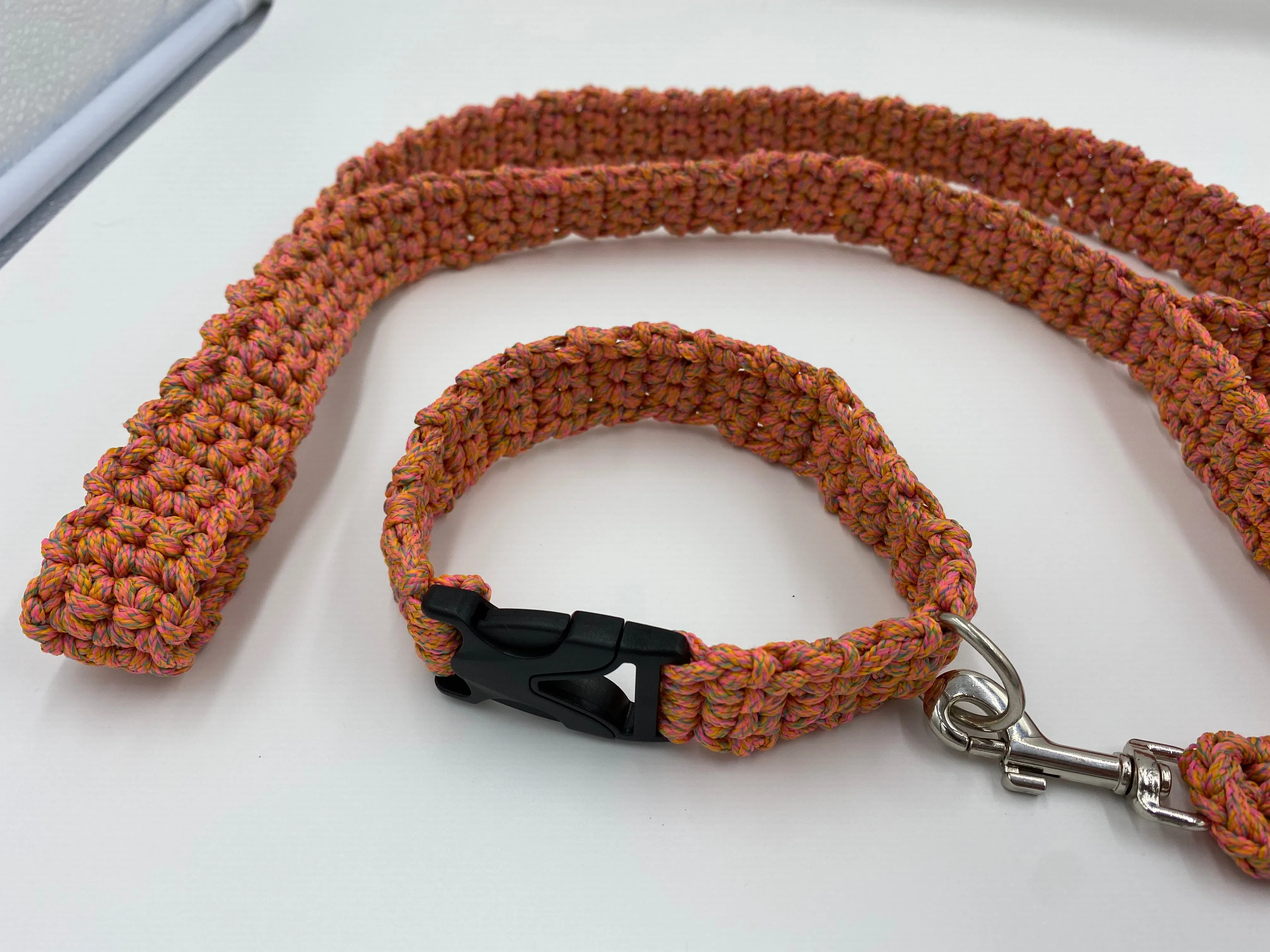 Neon Dog Collar and Leash Set