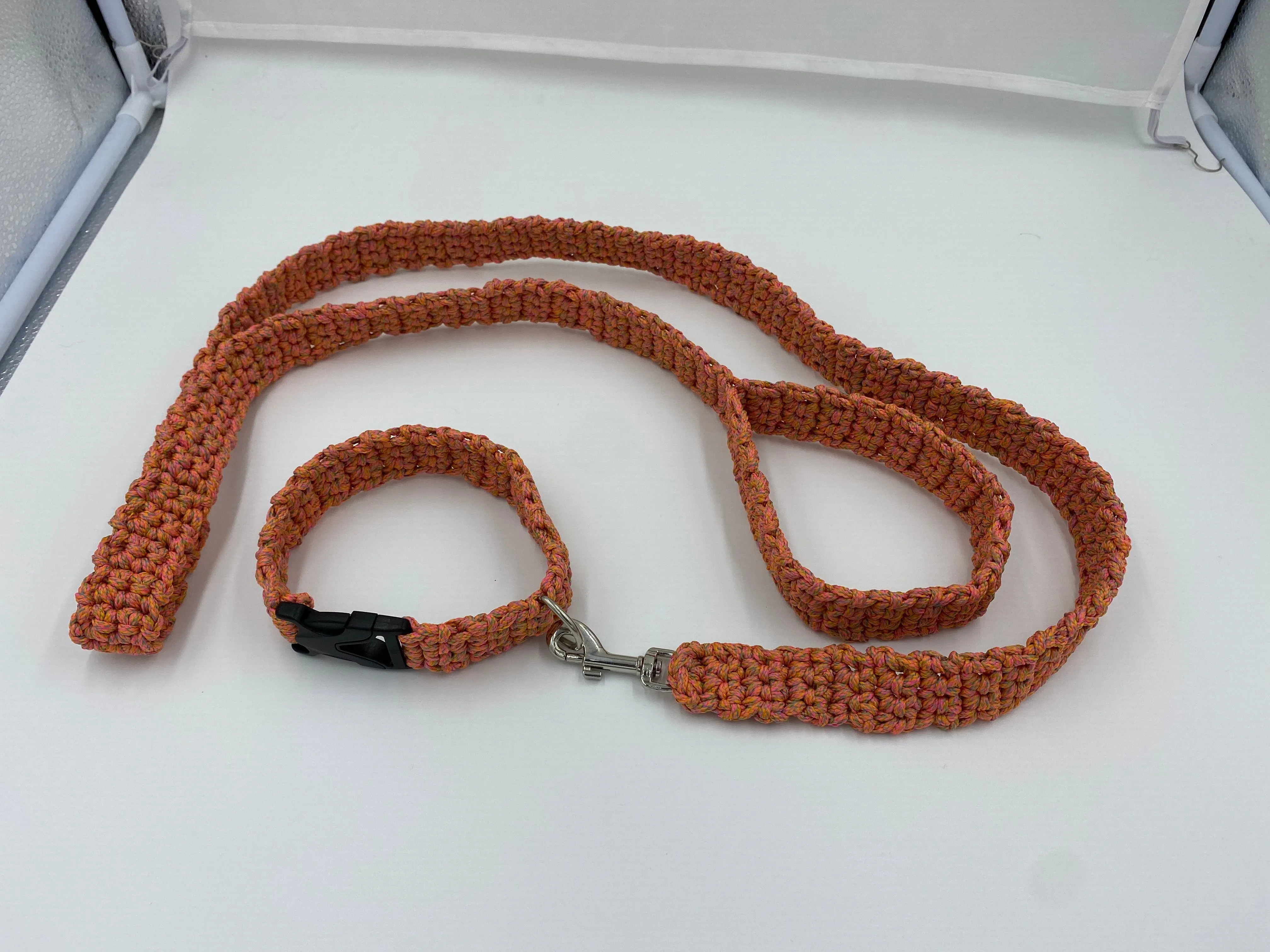 Neon Dog Collar and Leash Set
