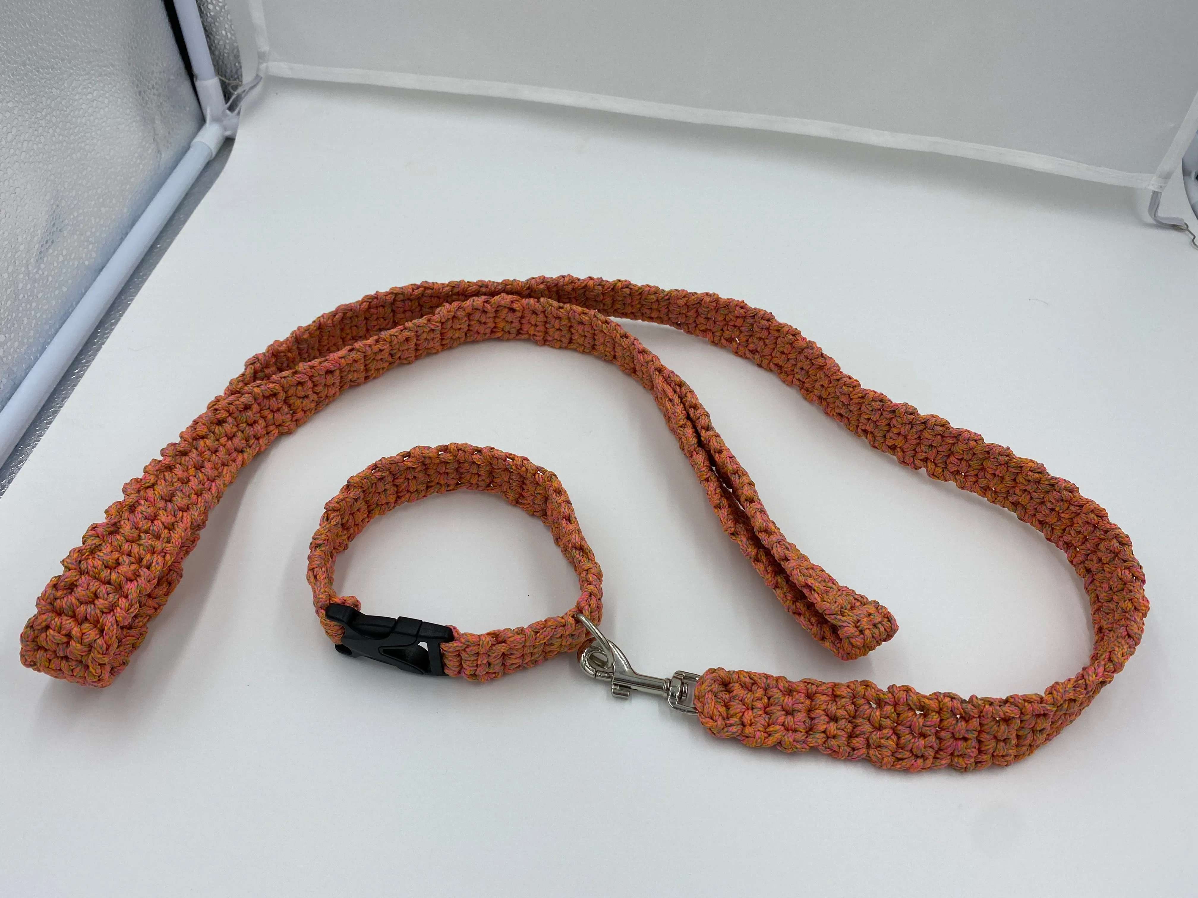 Neon Dog Collar and Leash Set