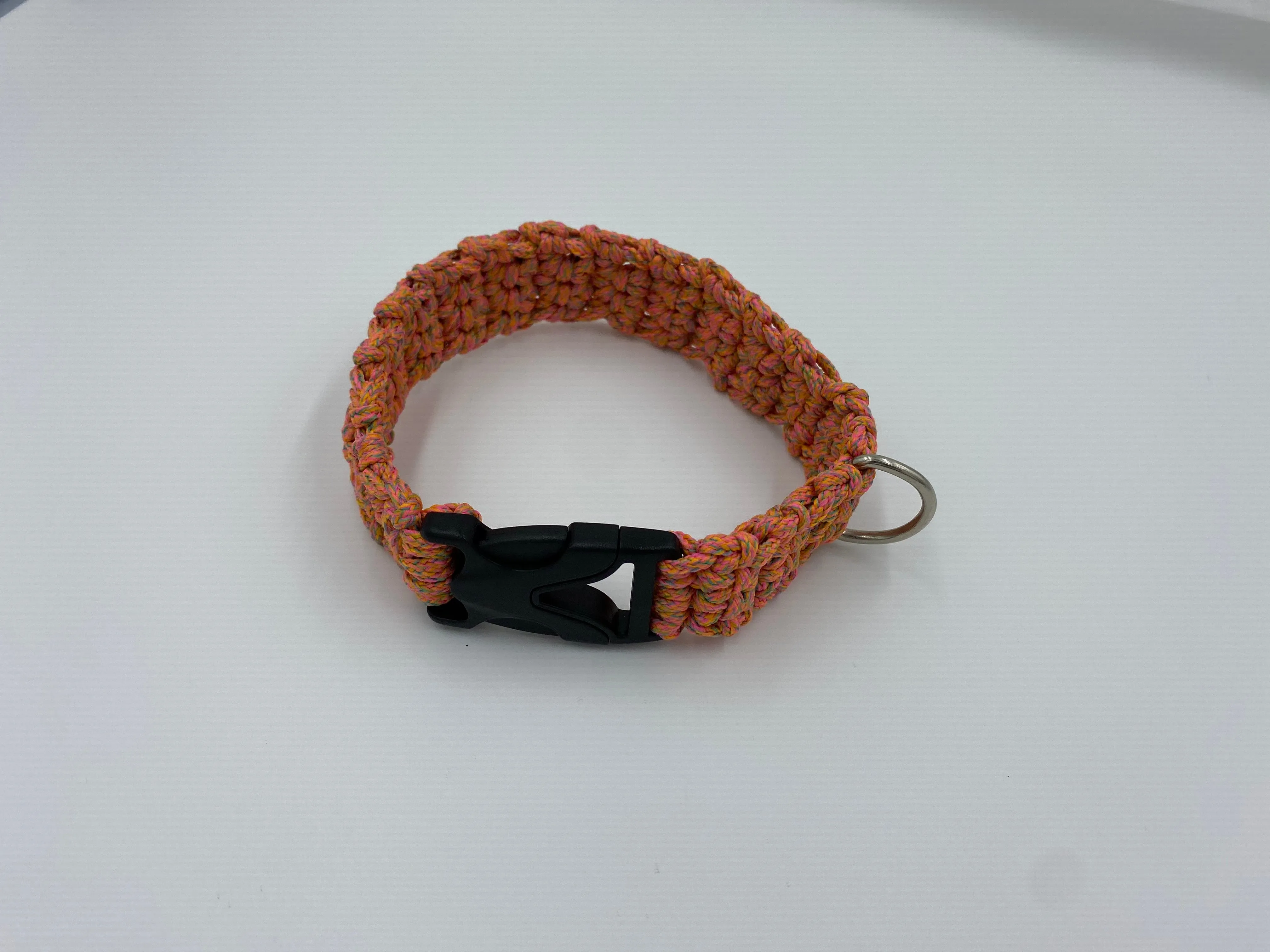 Neon Dog Collar and Leash Set