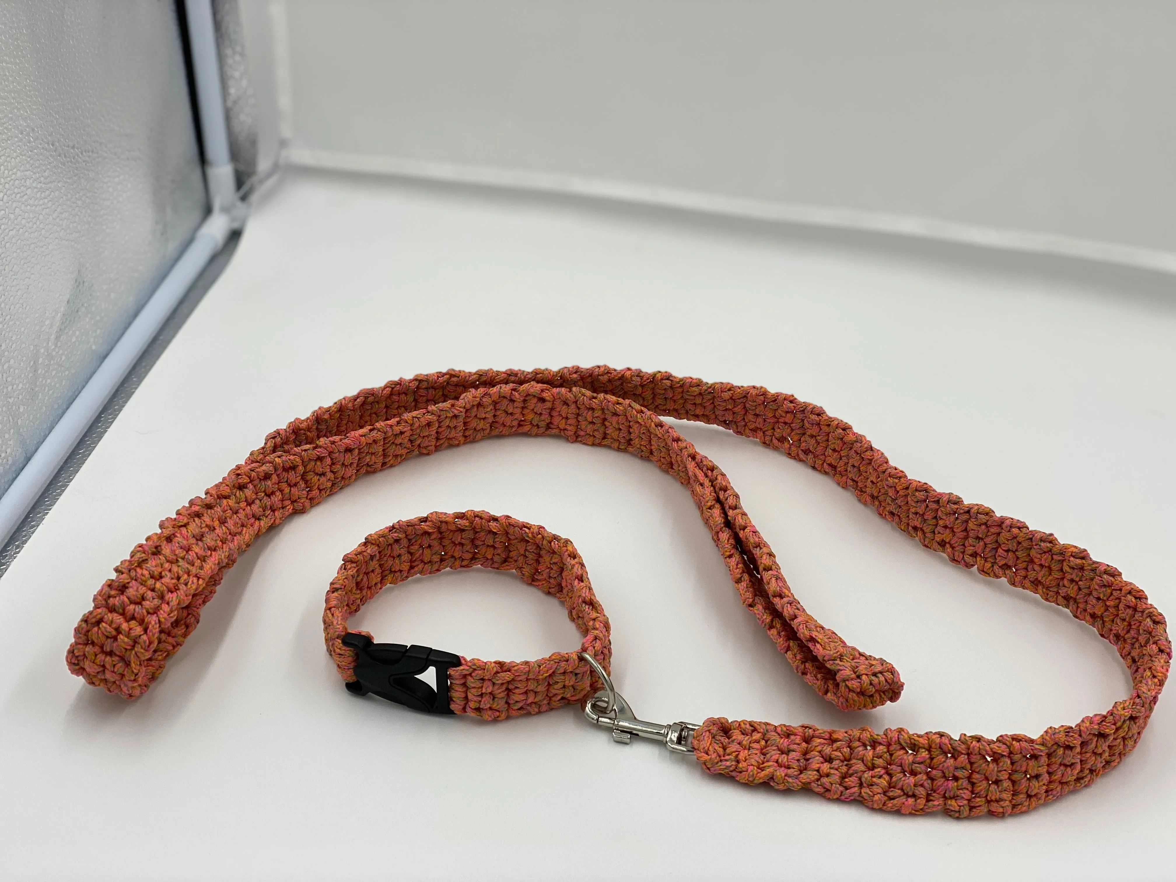 Neon Dog Collar and Leash Set