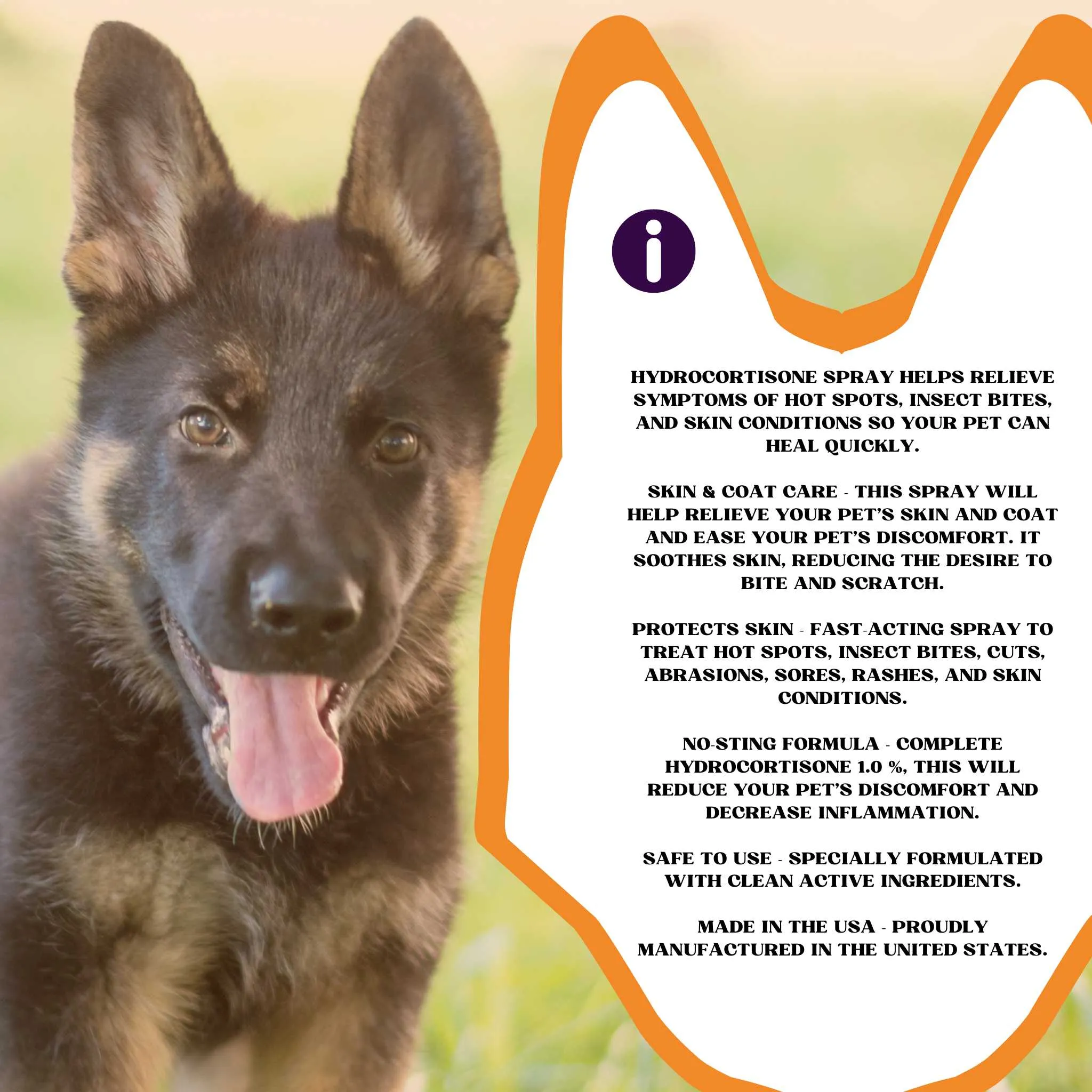 Piccardmeds4pets Hydro-Itch Spray 1.0 % for Dogs Cats & Horses 4 oz.