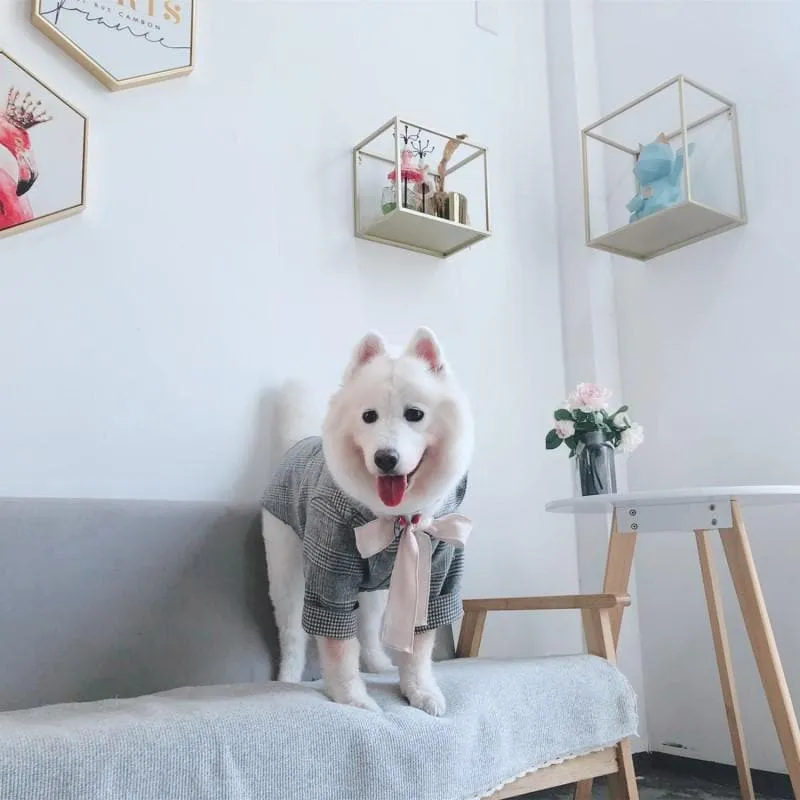 Plaid Bowtie Coat