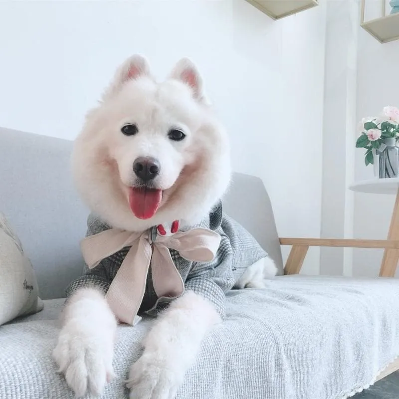 Plaid Bowtie Coat