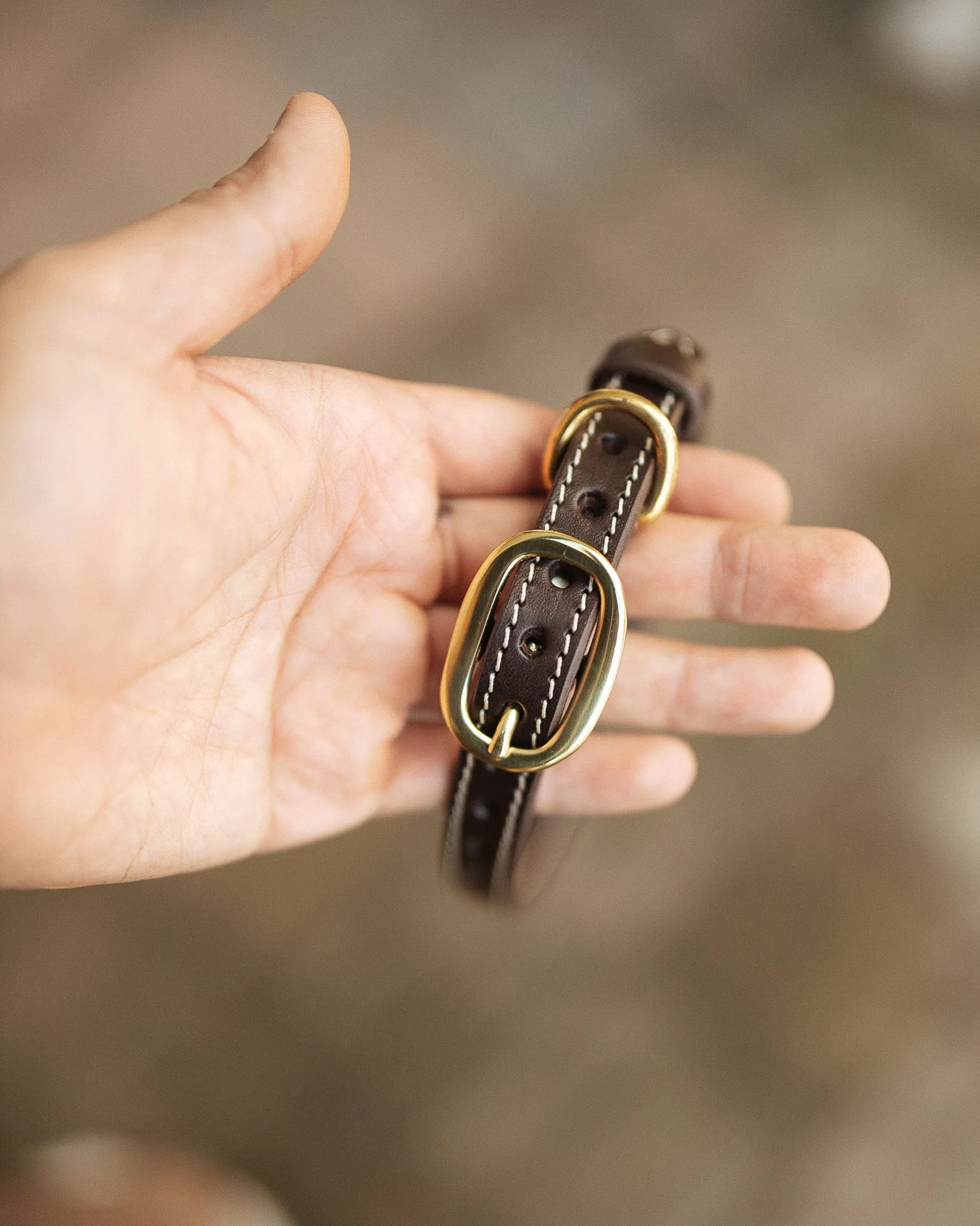 Rancher Dog Collar - 18mm - Dark Brown