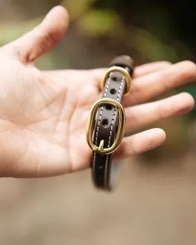 Rancher Dog Collar - 18mm - Dark Brown